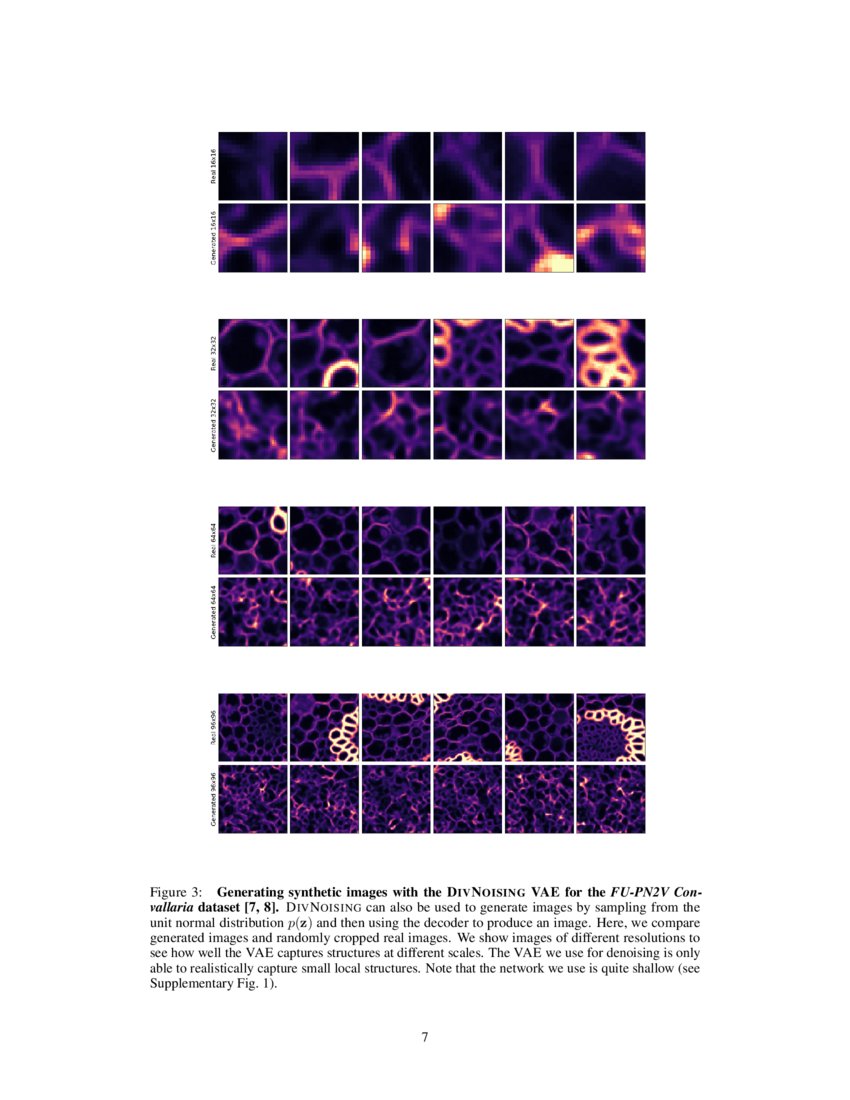 DivNoising: Diversity Denoising with Fully Convolutional Variational ...