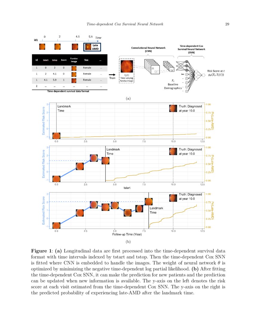 Dynamic Prediction using TimeDependent Cox Survival Neural Network