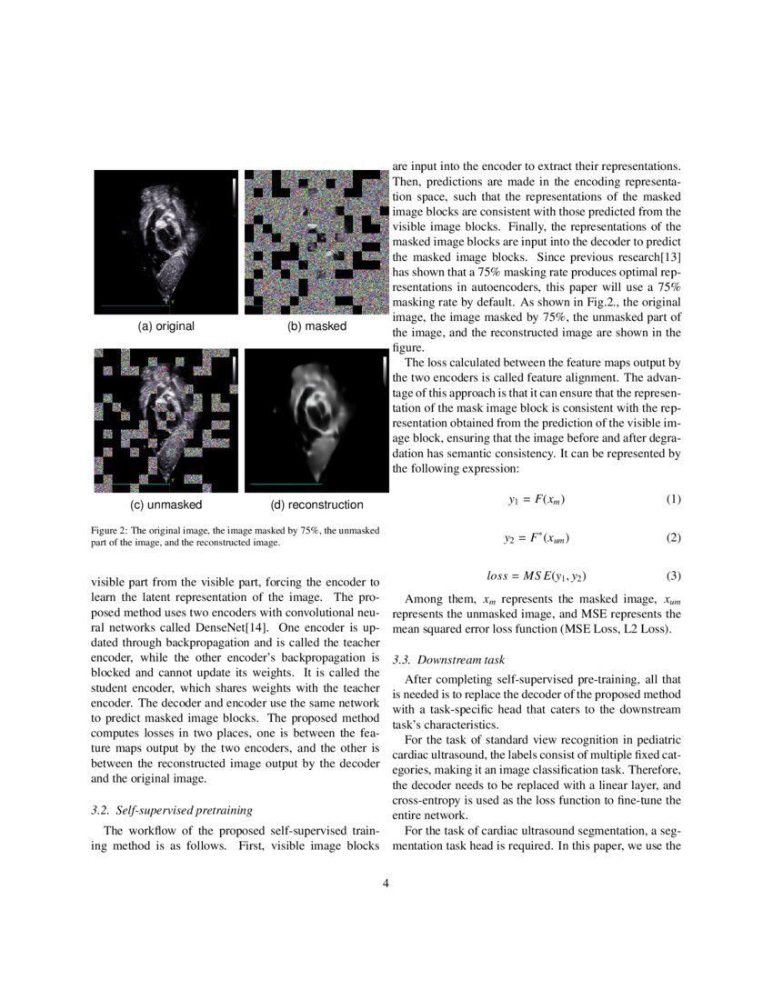 EDMAE An Efficient Decoupled Masked Autoencoder for Standard View