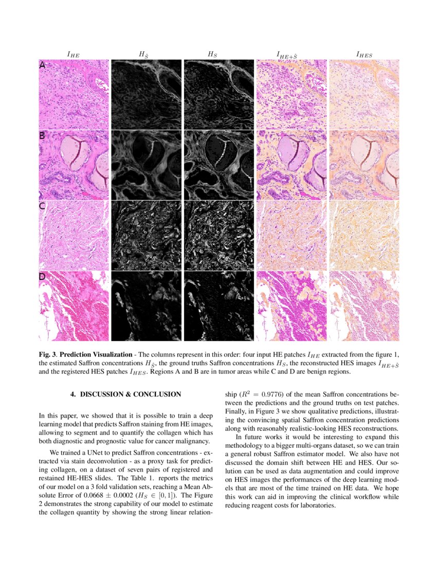 Enabling Collagen Quantification on HEstained Slides Through Stain