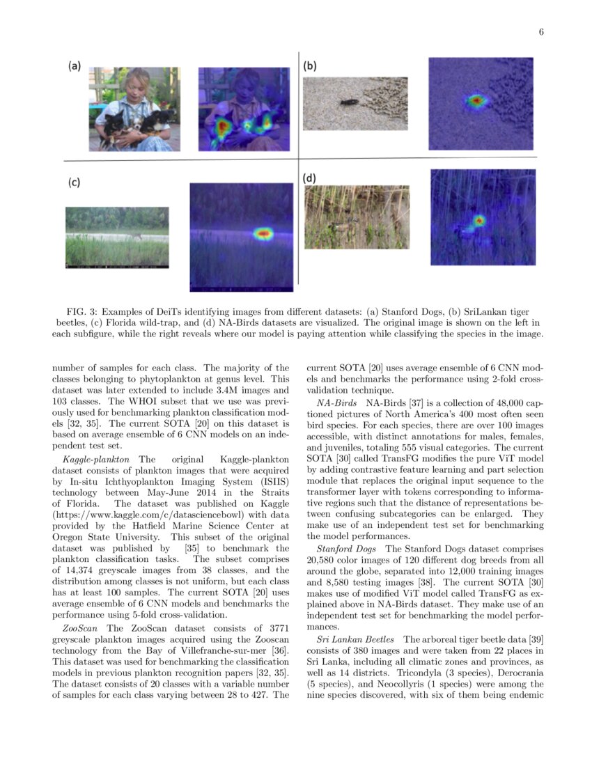 Ensembles Of Vision Transformers As A New Paradigm For Automated Ensembles Of Vision Transformers As A New Paradigm For Automated