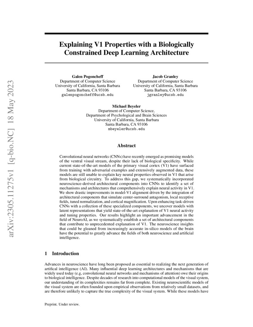 Explaining V1 Properties with a Biologically Constrained Deep Learning