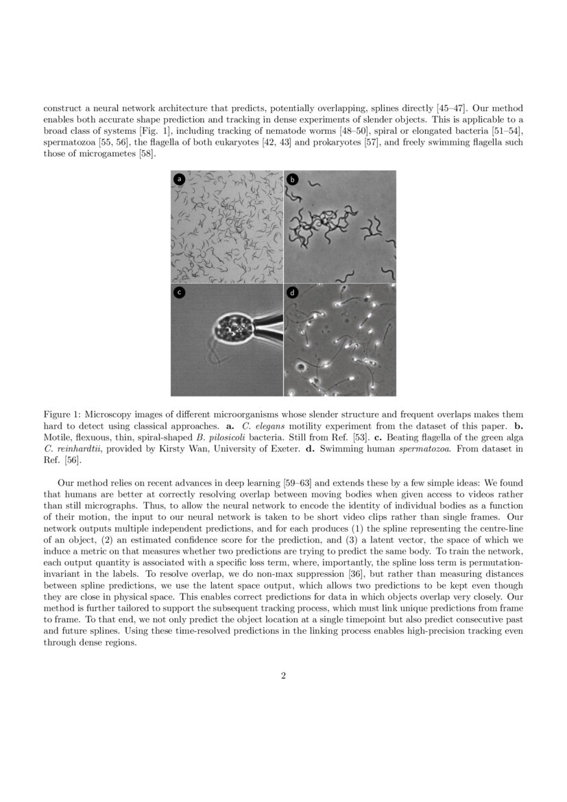 Fast spline detection in high density microscopy data DeepAI