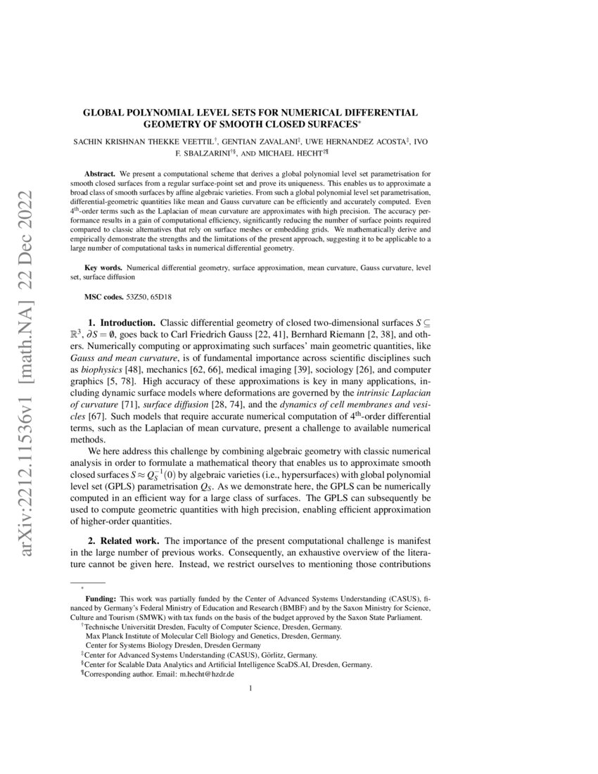 Global Polynomial Level Sets for Numerical Differential Geometry of