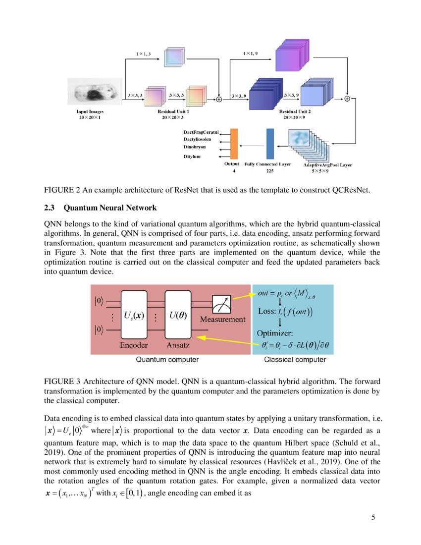 Hybrid Quantum-classical Convolutional Neural Network For Phytoplankton ...