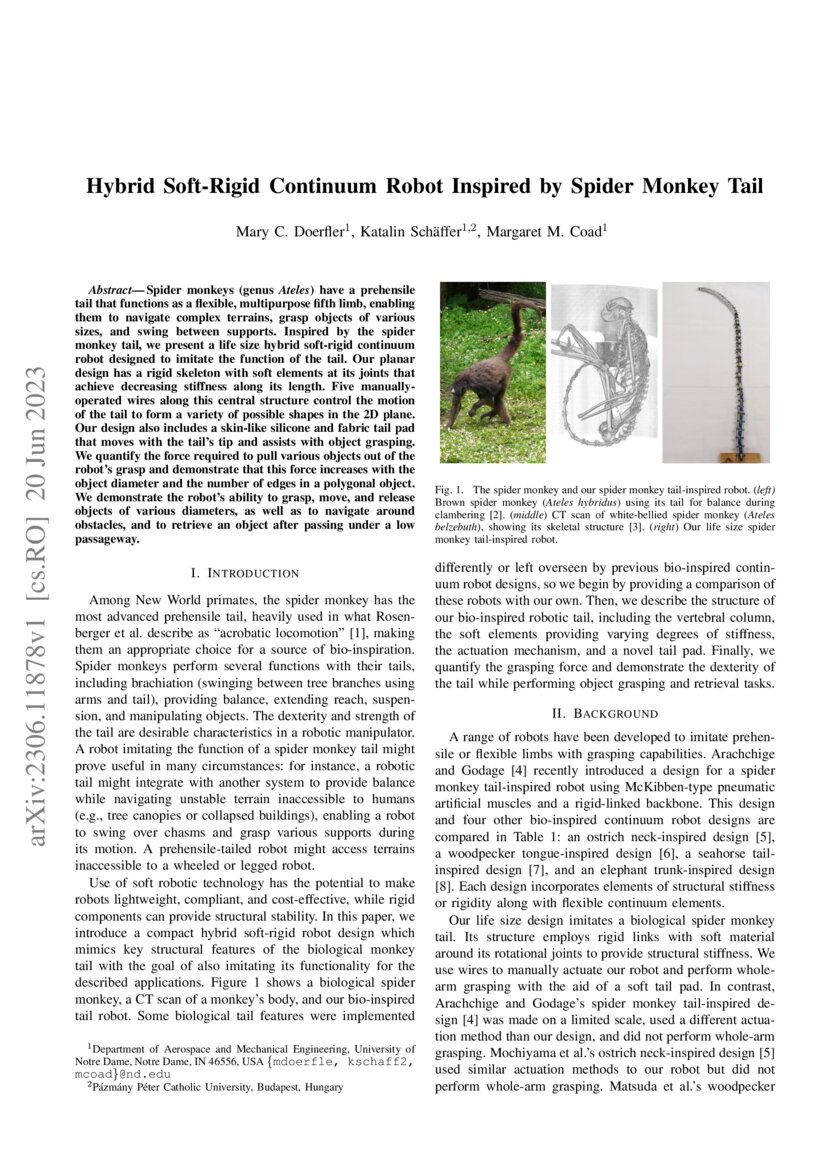 Hybrid Soft-Rigid Continuum Robot Inspired by Spider Monkey Tail | DeepAI