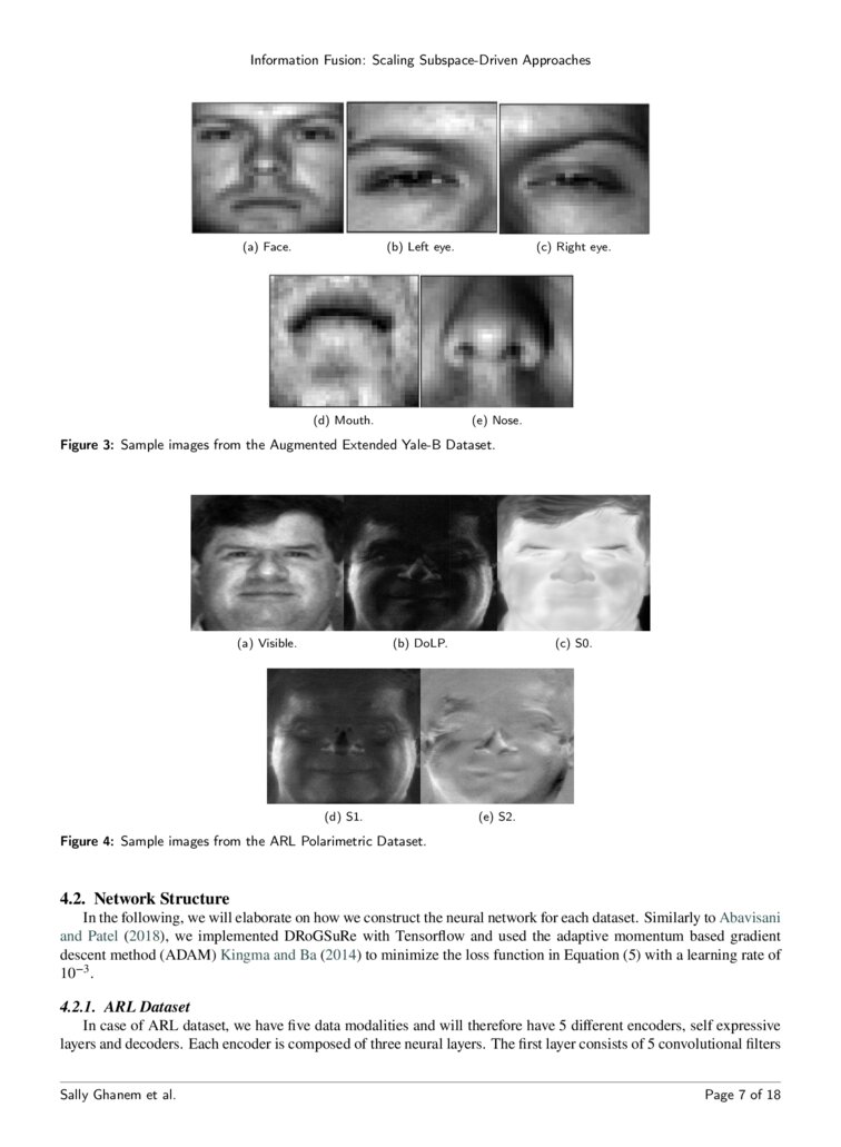 Information Fusion Scaling SubspaceDriven Approaches DeepAI