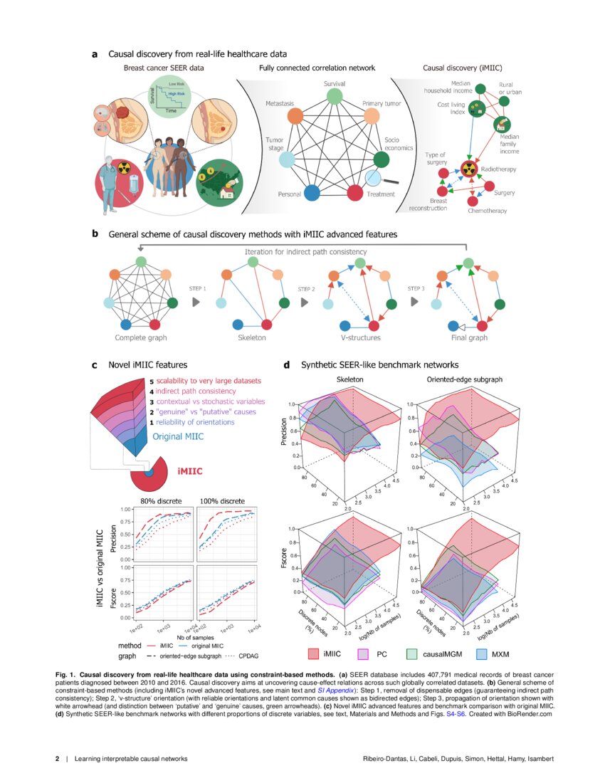Learning interpretable causal networks from very large datasets