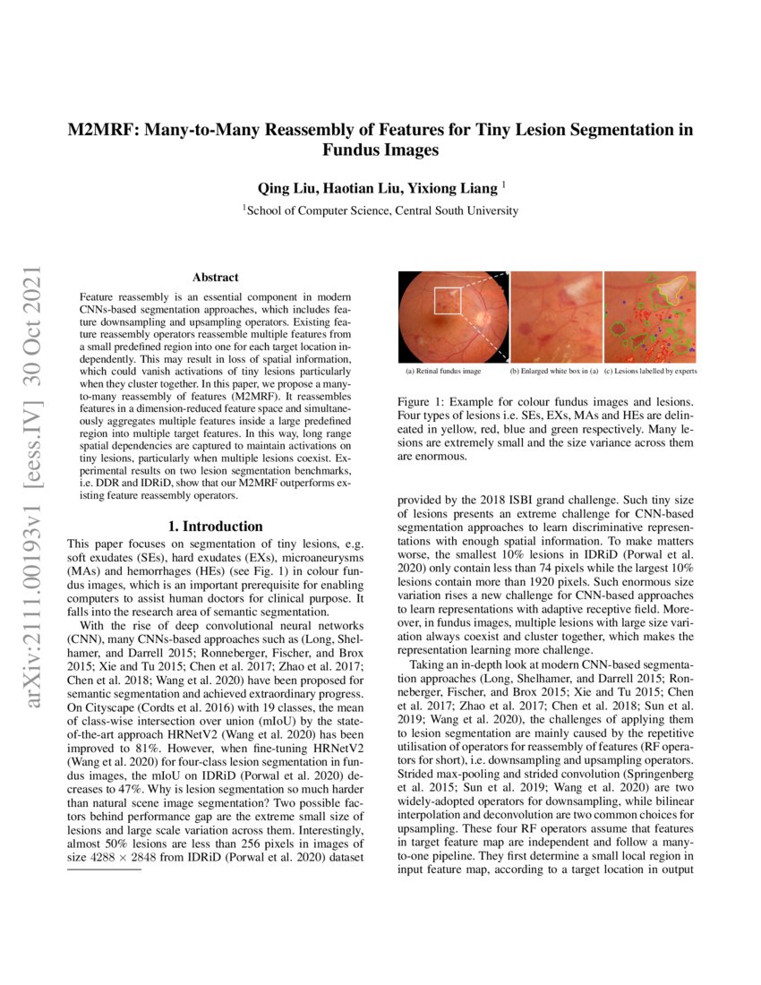 M2MRF: Many-to-Many Reassembly of Features for Tiny Lesion Segmentation ...