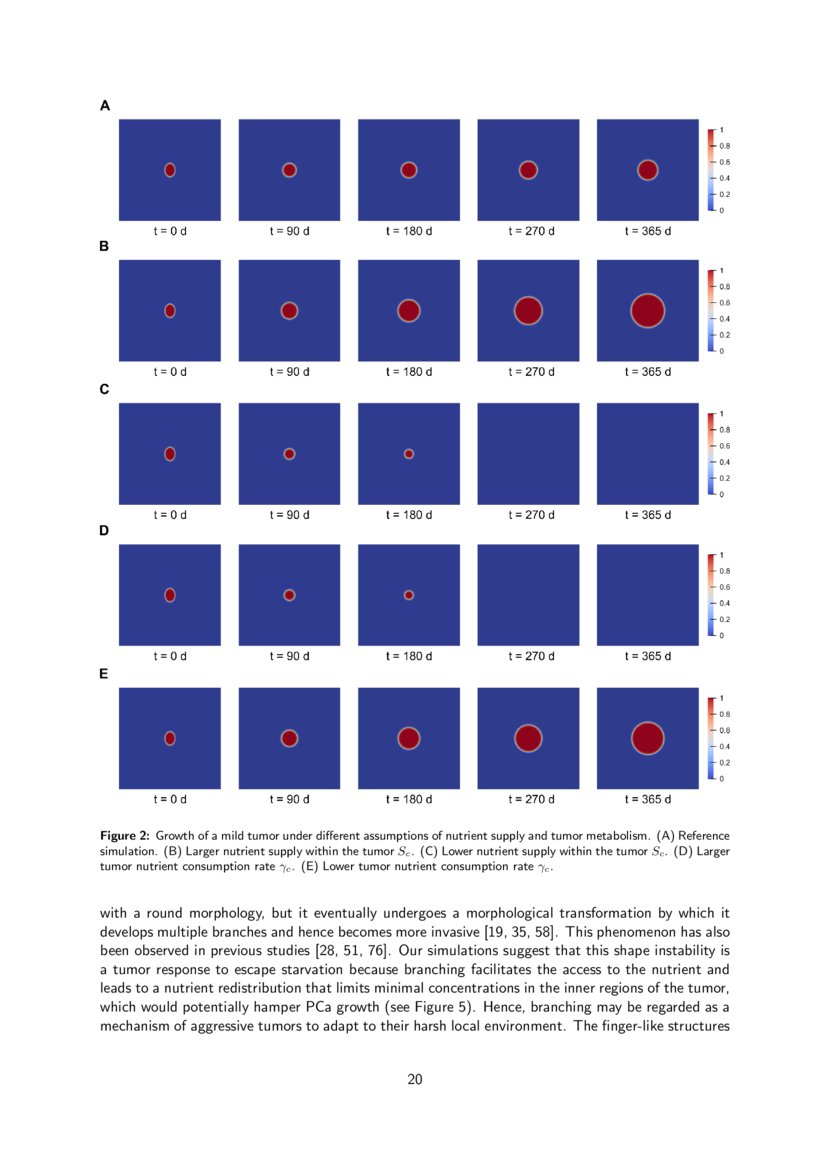 Mathematical analysis and simulation study of a phasefield model of