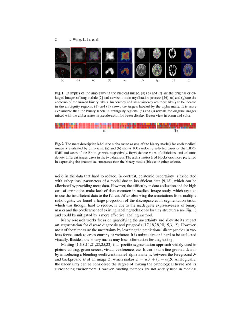 Medical Matting A New Perspective on Medical Segmentation with