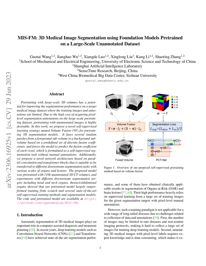 MISFM 3D Medical Image Segmentation using Foundation Models