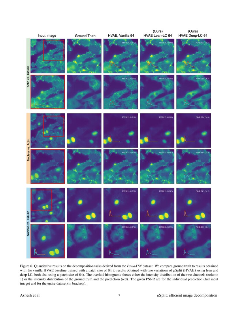 μSplit efficient image for microscopy data DeepAI