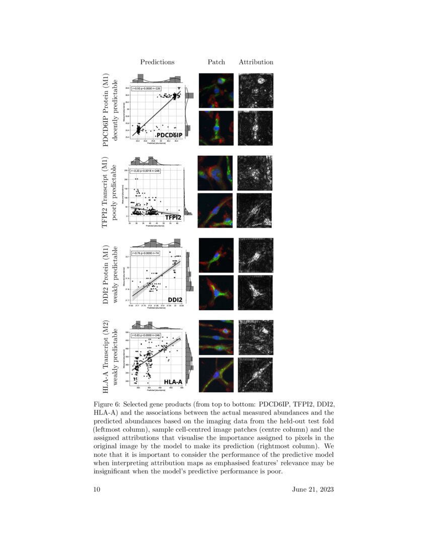 Multi-omics Prediction from High-content Cellular Imaging with Deep ...