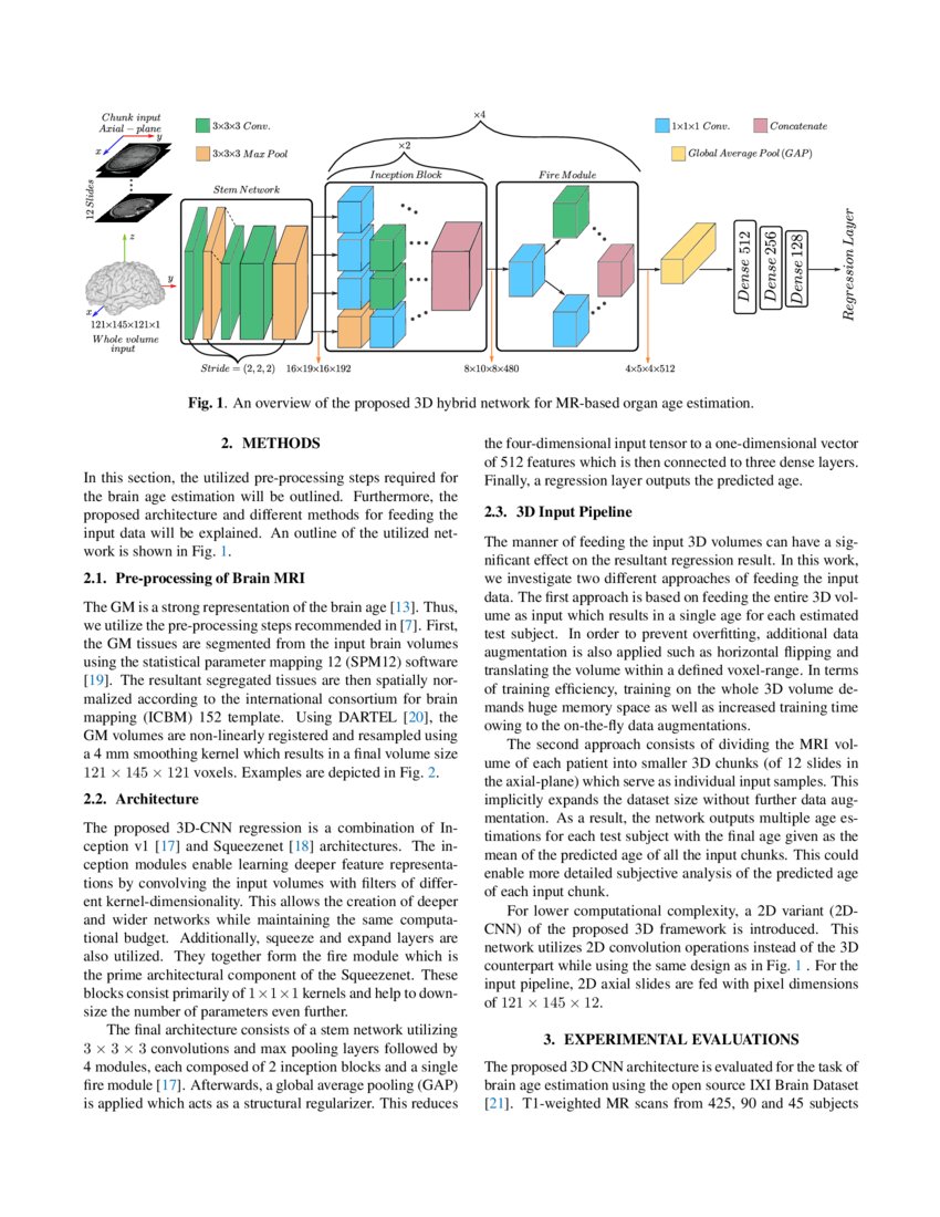 Organ Based Age Estimation Based On 3d Mri Scans Deepai Organ Based Age Estimation Based On 3d Mri Scans Deepai