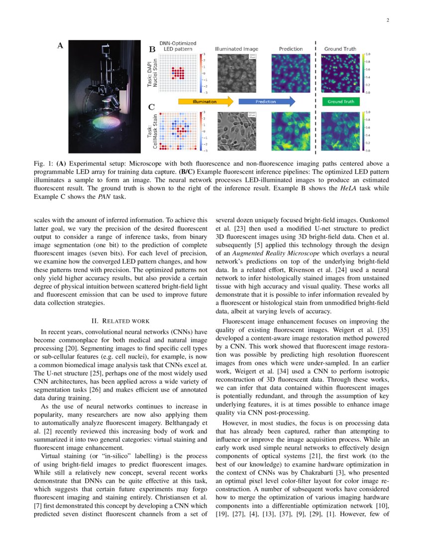 Physicsenhanced machine learning for virtual fluorescence microscopy