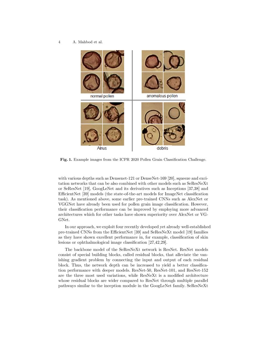 Pollen Grain Microscopic Image Classification Using an Ensemble of Fine ...