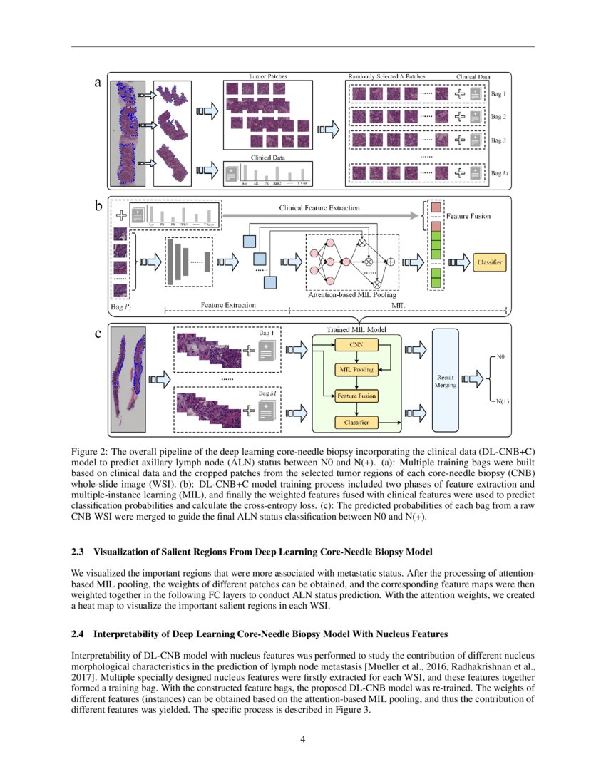 Predicting Axillary Lymph Node Metastasis in Early Breast Cancer Using ...