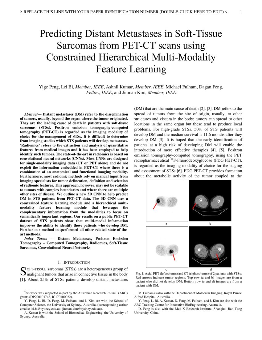 Predicting Distant Metastases in Soft-Tissue Sarcomas from PET-CT scans ...