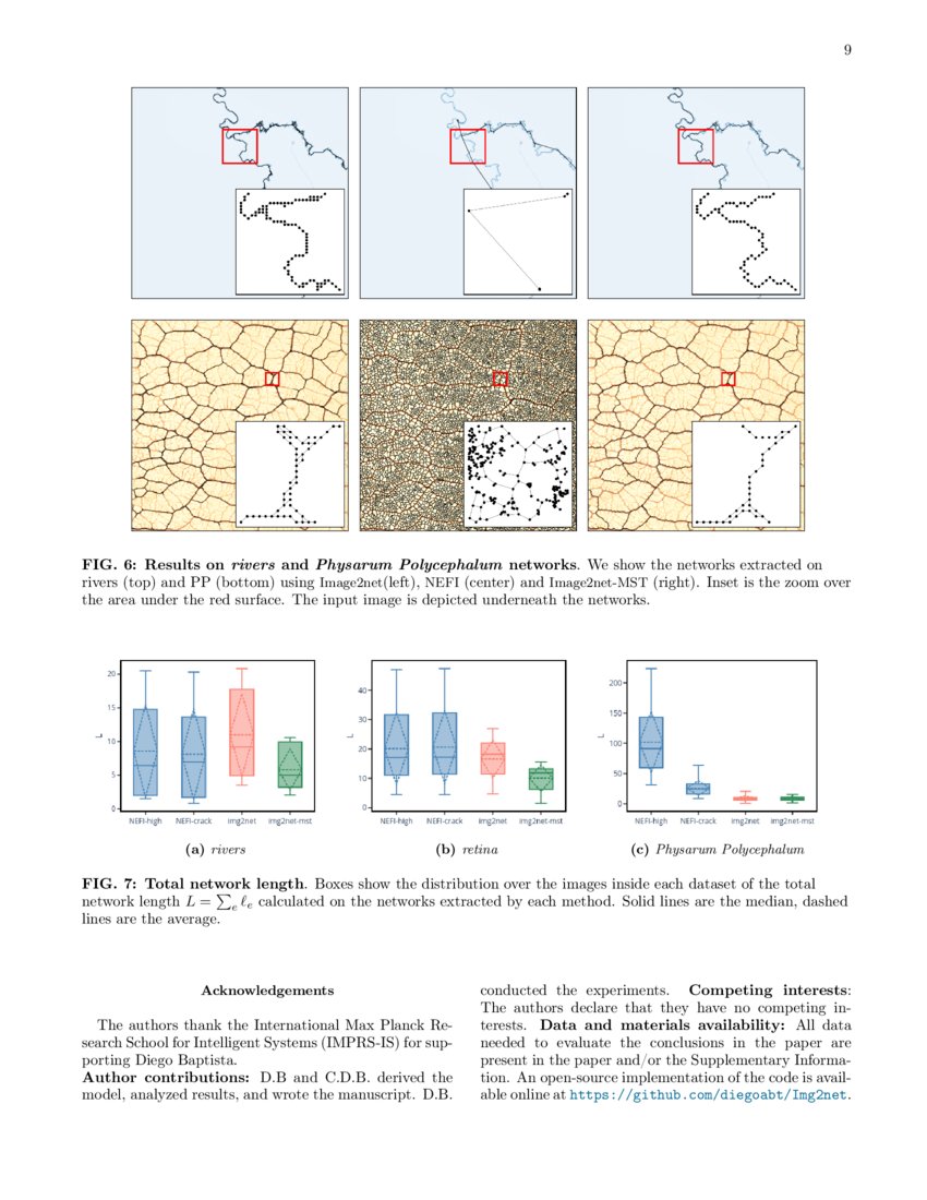 Principled network extraction from images DeepAI