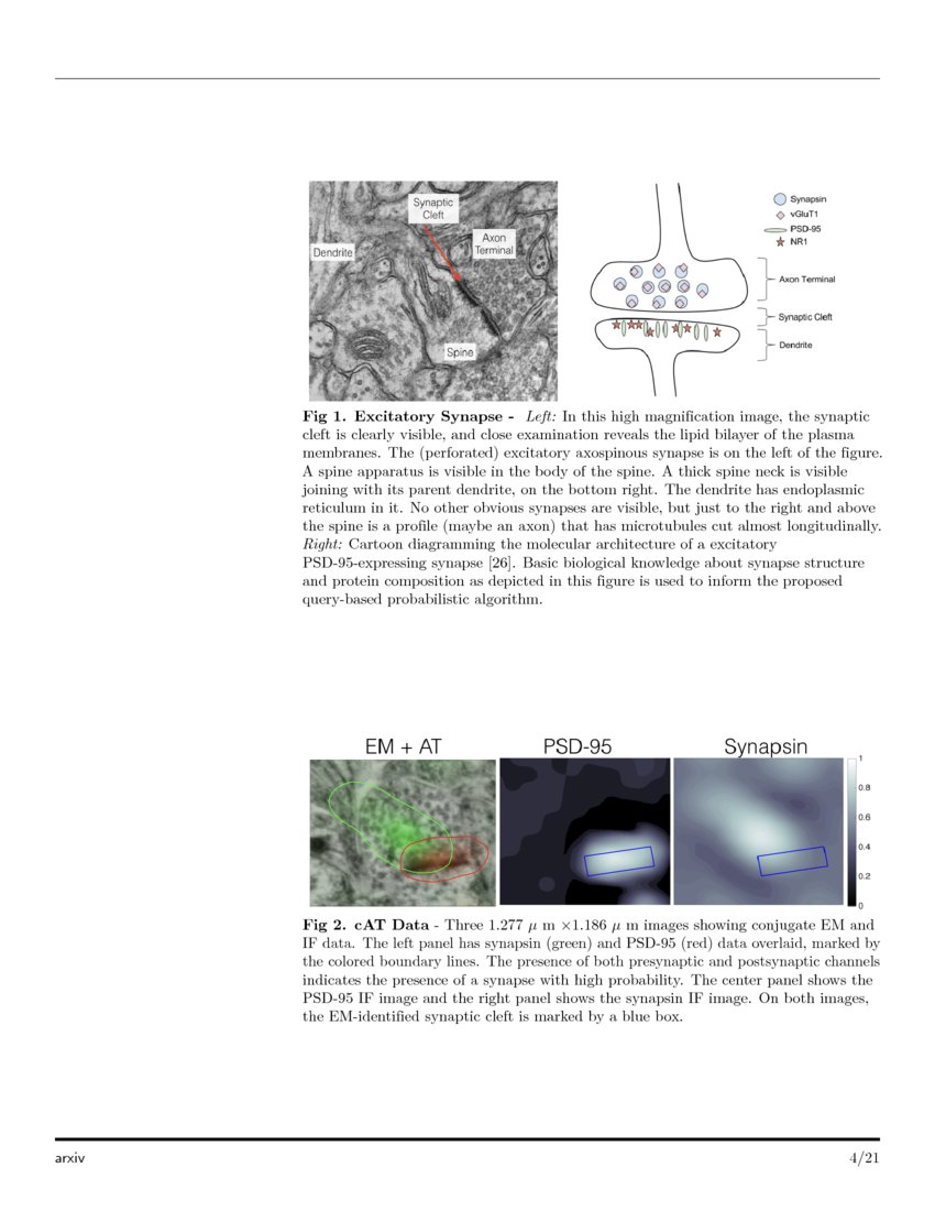 Probabilistic FluorescenceBased Synapse Detection DeepAI
