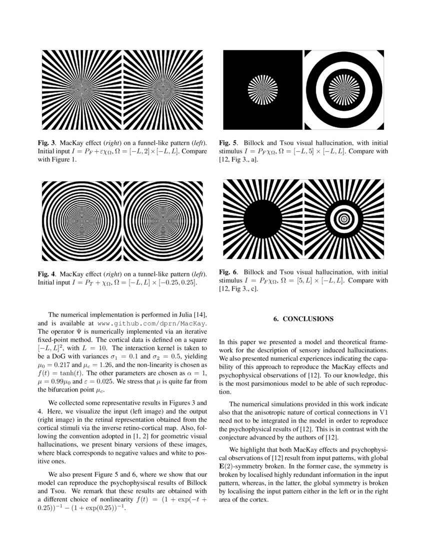 Reproducing sensory induced hallucinations via neural fields DeepAI