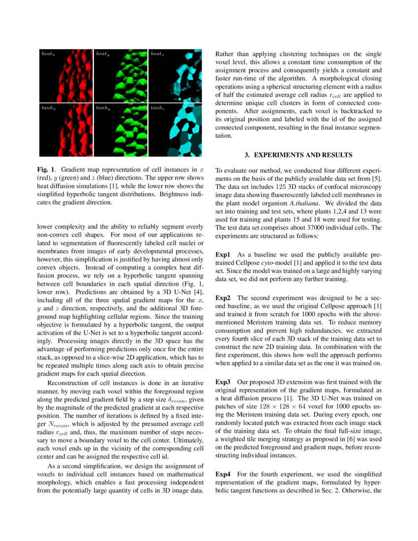 Robust 3D Cell Segmentation: Extending the View of Cellpose | DeepAI