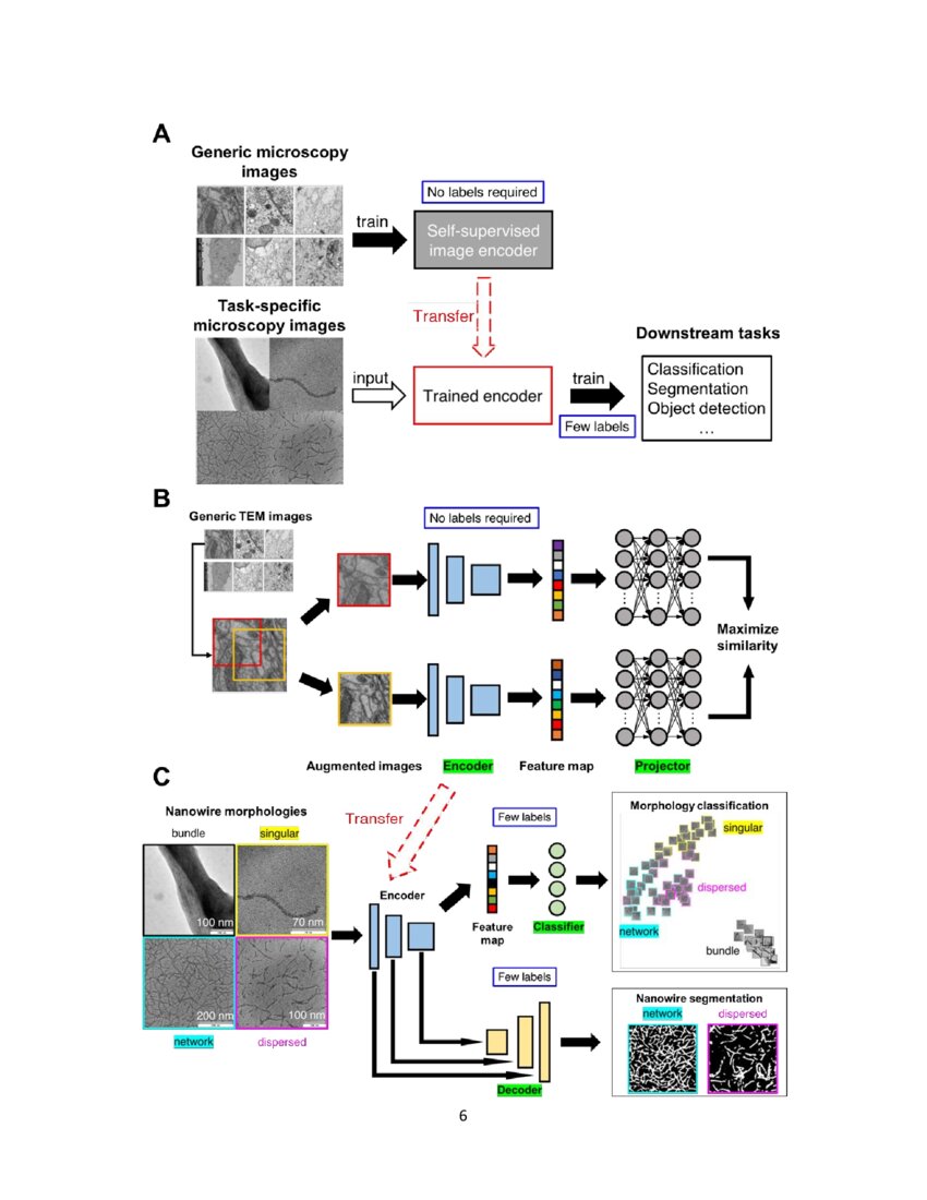 Self supervised machine learning model for analysis of nanowire