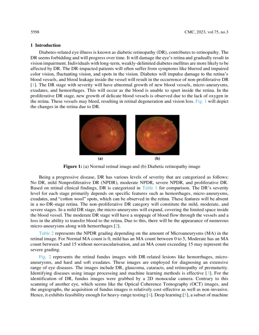 Strategy for Rapid Diabetic Retinopathy Exposure Based on Enhanced ...