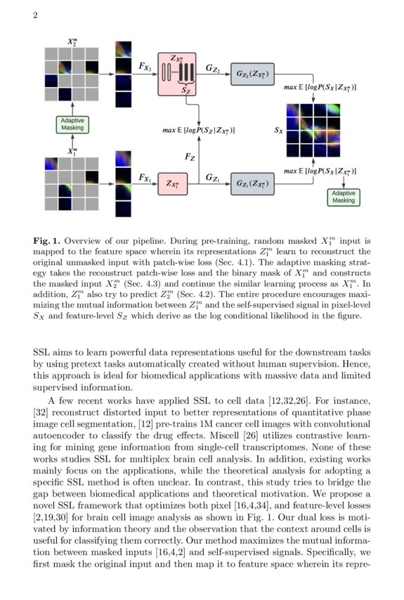Student Collaboration Improves Self-Supervised Learning: Dual-Loss ...