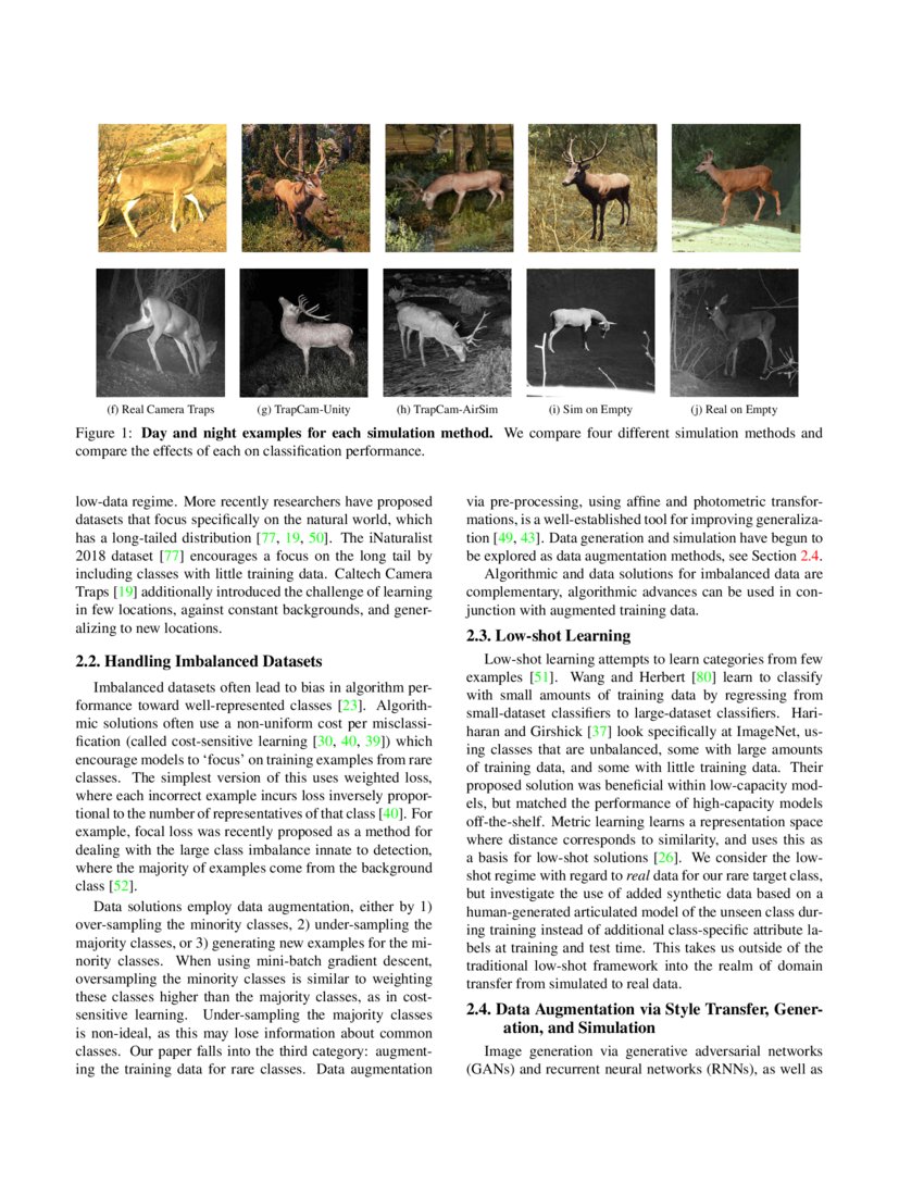 Synthetic Examples Improve Generalization for Rare Classes DeepAI