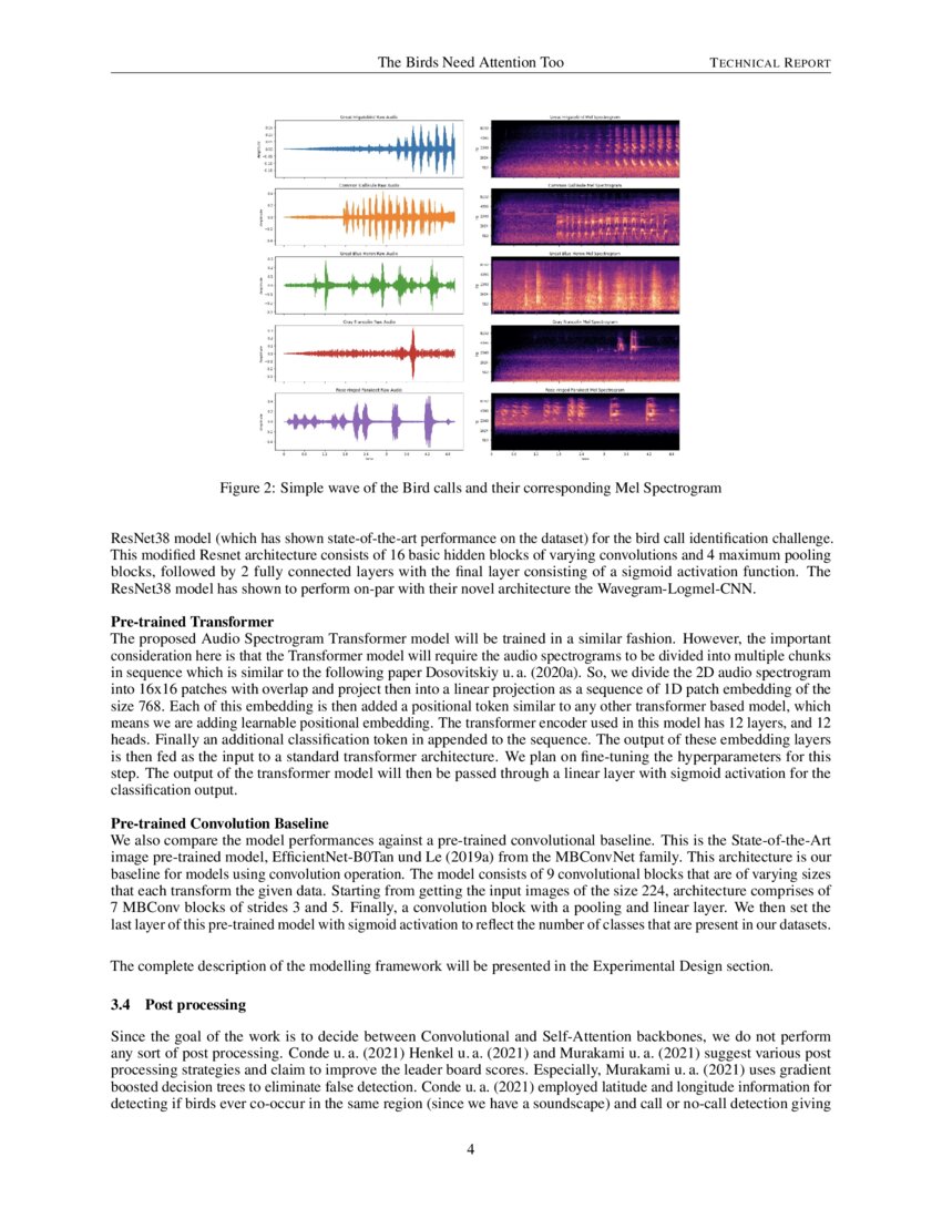 The Birds Need Attention Too: Analysing usage of Self Attention in