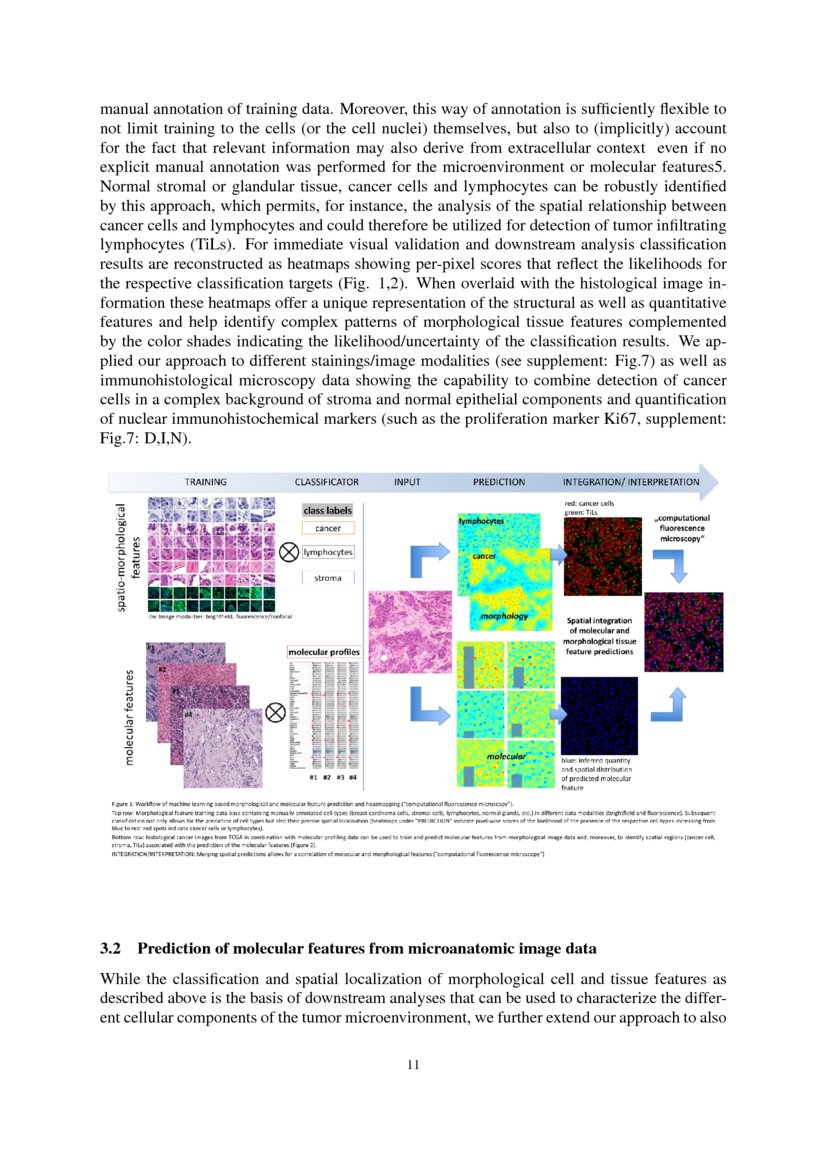 Towards computational fluorescence microscopy Machine learningbased