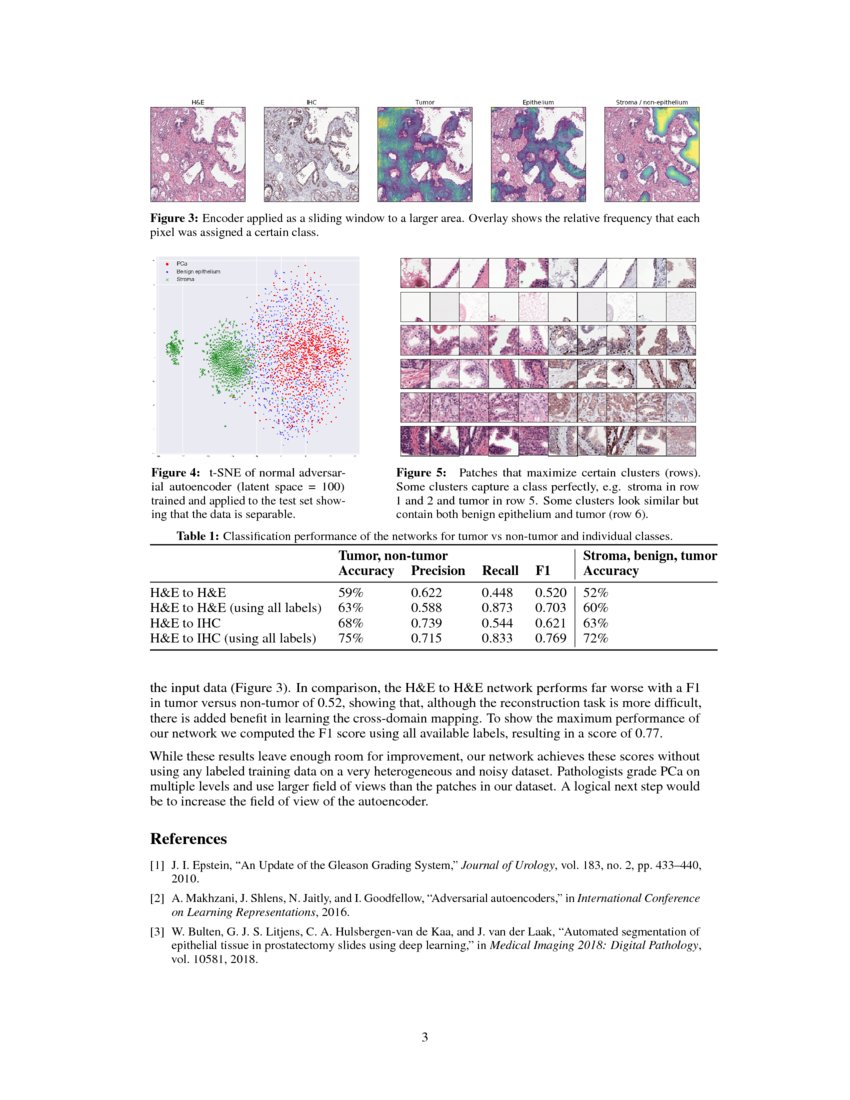 Unsupervised Prostate Cancer Detection on H&E using Convolutional ...
